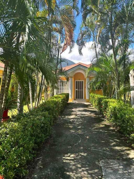Villa De Ali In Palma Real La Ceiba Exterior photo